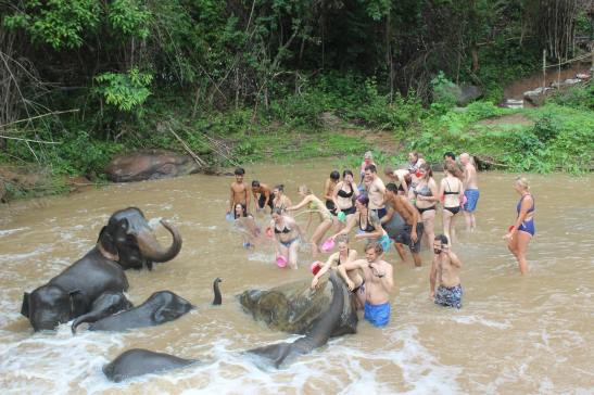 13443079_688600094629344_3910586811405744089_o