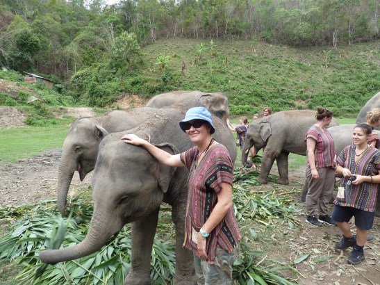 me and  elephants